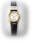 M-12 シチズンクォーツ腕時計クラブラメールLMT43-9326