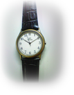 M-22 シチズンクォーツ腕時計ライトハウスLHF46-8991